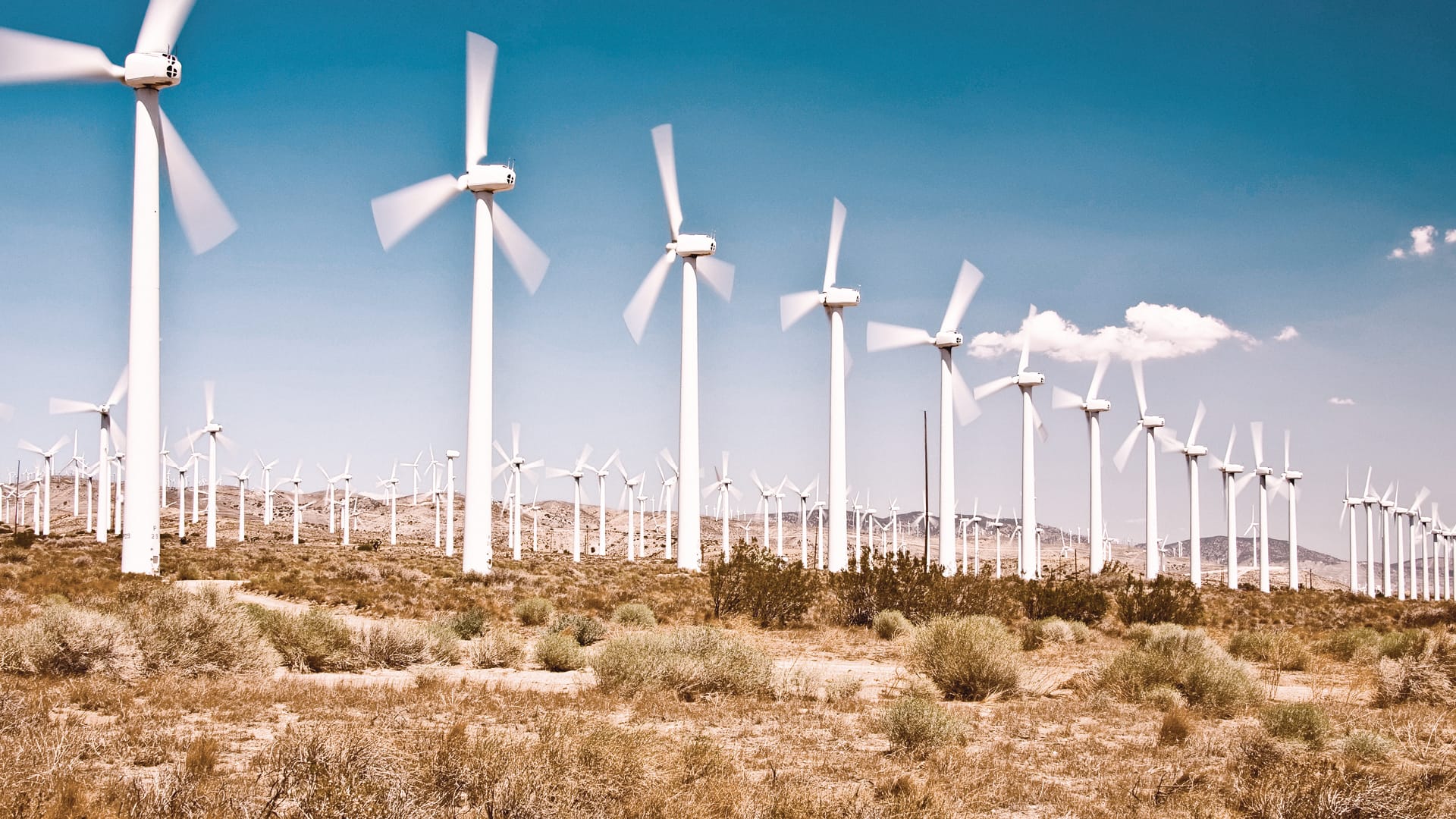 Wind turbines on a field