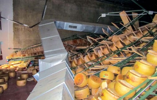 Tons of Parmesan thrown off their shelves.